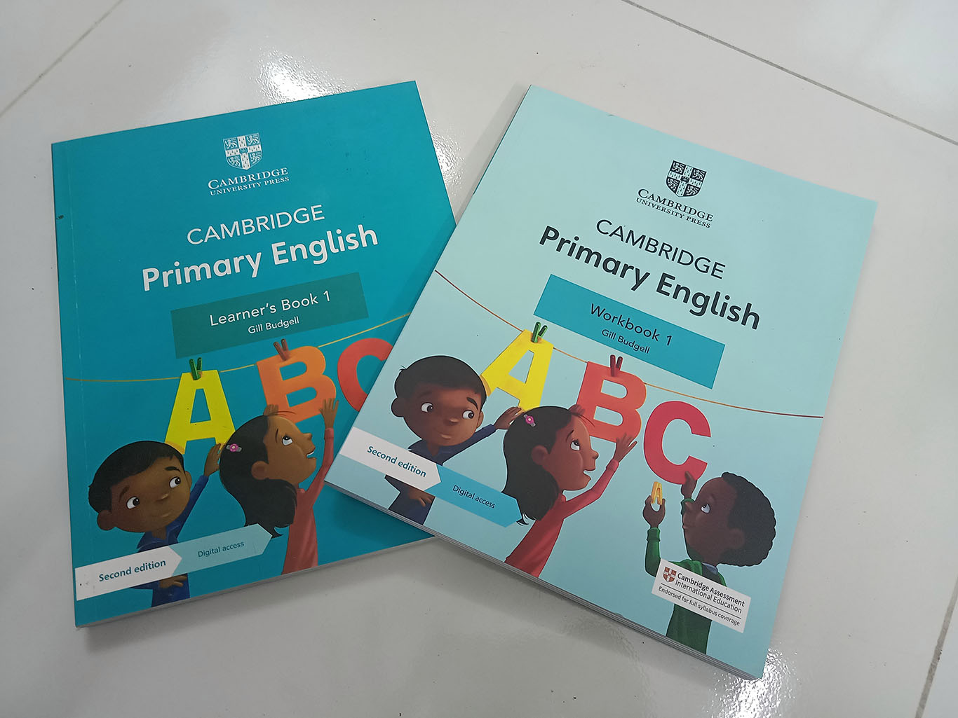 Cambridge Primary English learner's book and workbook 1